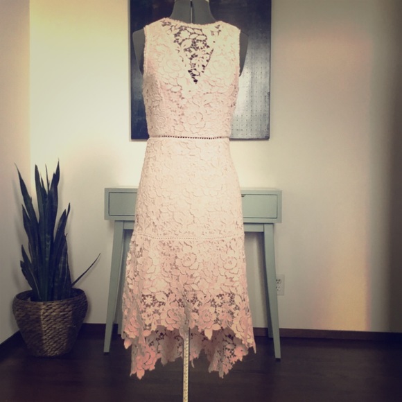 Joie Dresses & Skirts - Joie Pink Lace Overlay Dress NWT